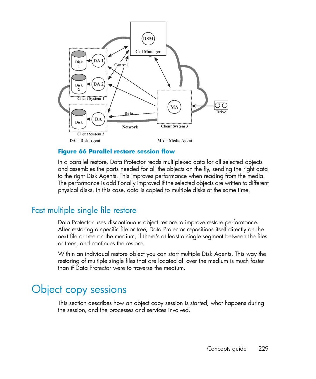 HP B6960-96035 manual Object copy sessions, Fast multiple single file restore 