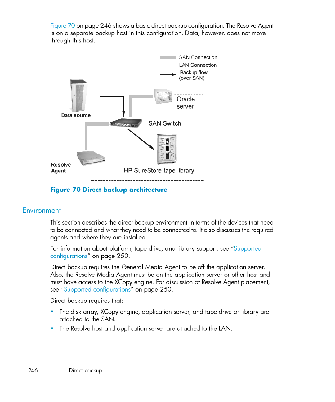 HP B6960-96035 manual Environment, Direct backup architecture 