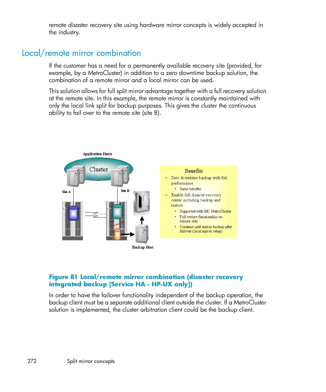 HP B6960-96035 manual Local/remote mirror combination 