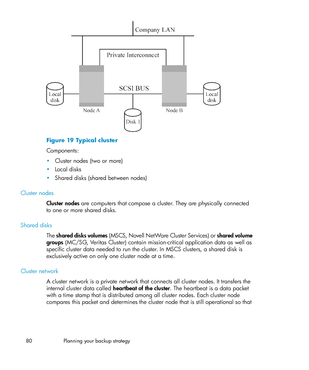 HP B6960-96035 manual Cluster nodes, Shared disks, Cluster network 