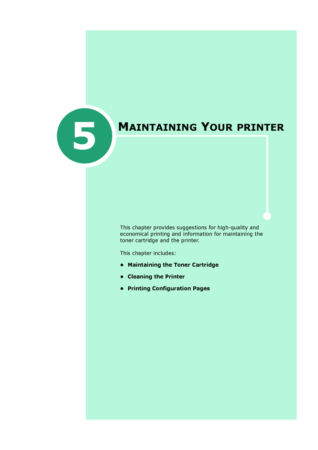 HP BP20N manual Maintaining Your Printer 