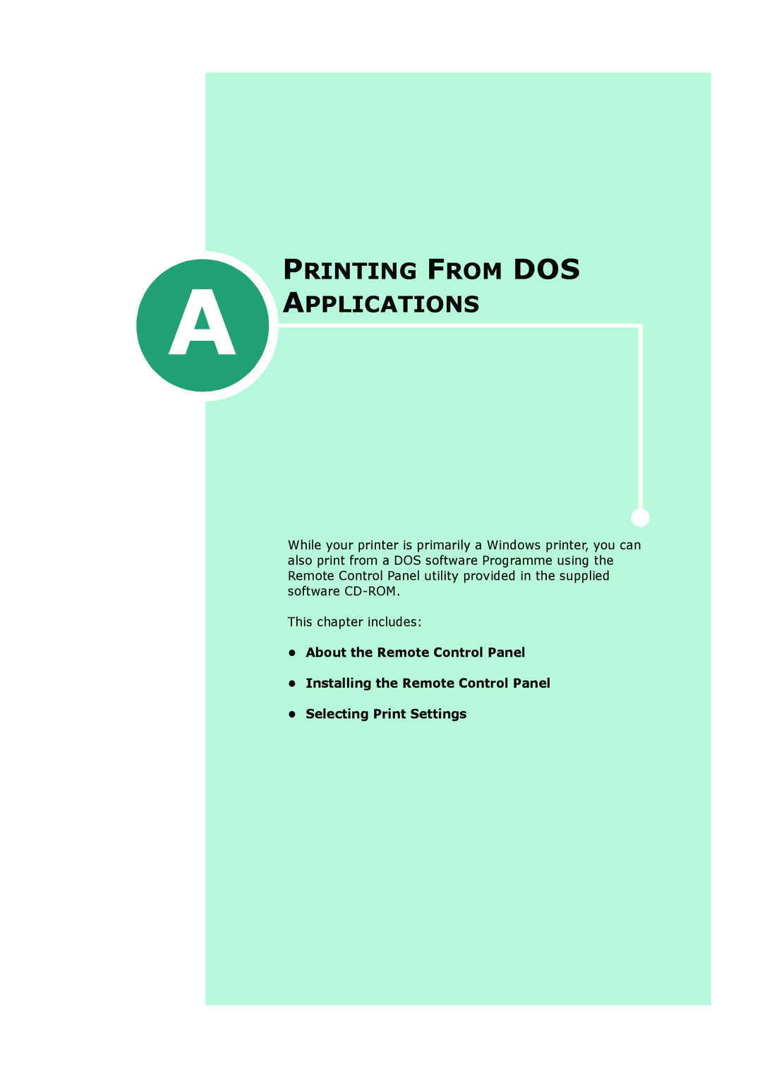 HP BP20N manual Printing from DOS Applications 