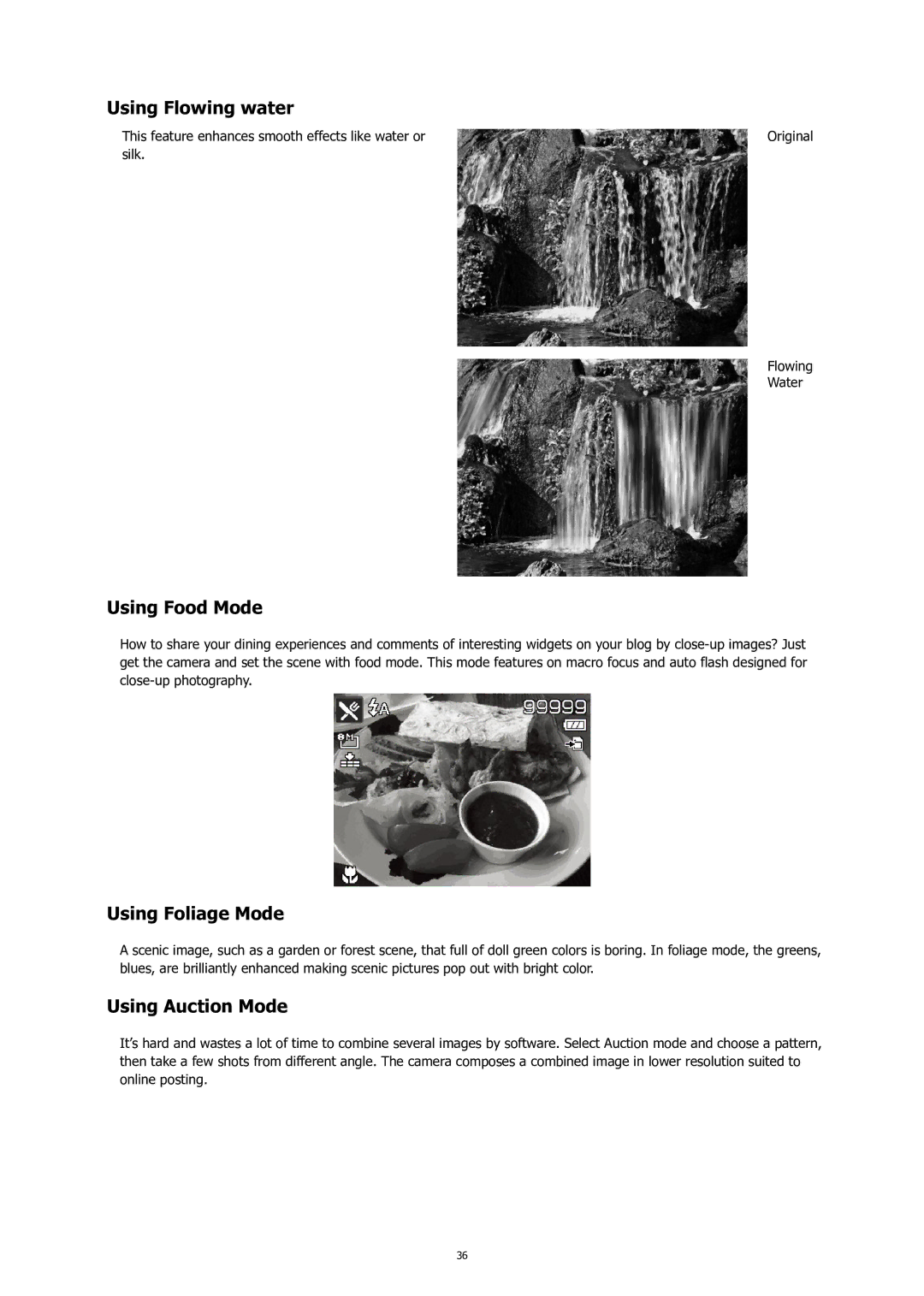 HP C-200 manual Using Flowing water, Using Food Mode, Using Foliage Mode, Using Auction Mode 