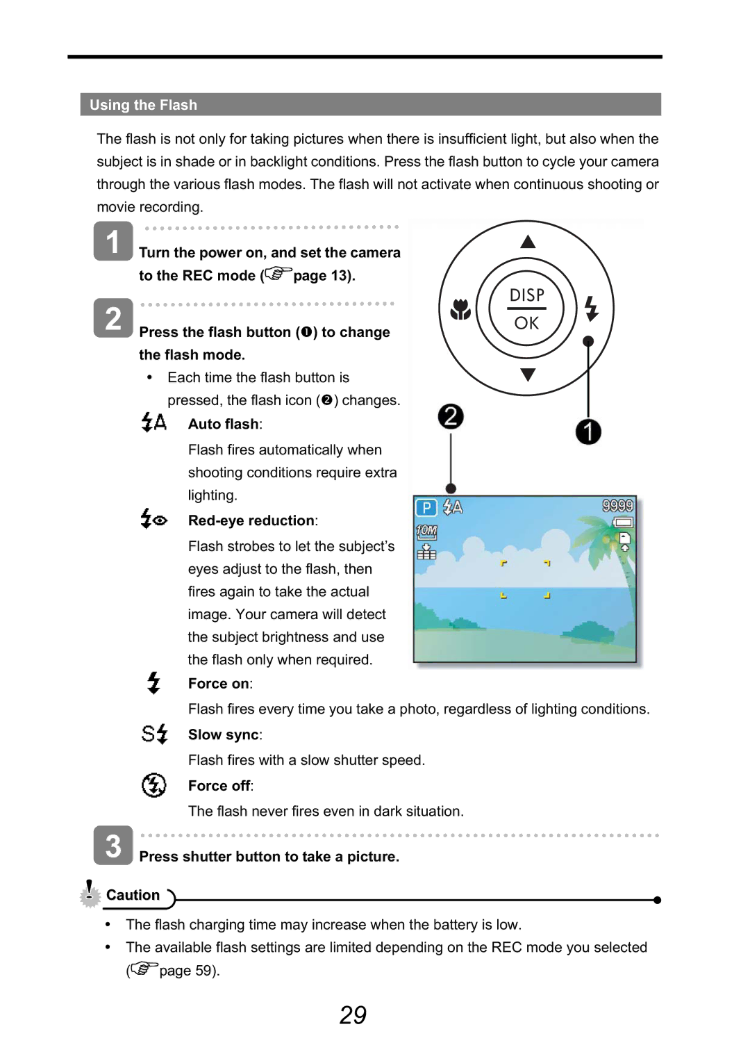 HP CA-340 manual Using the Flash 