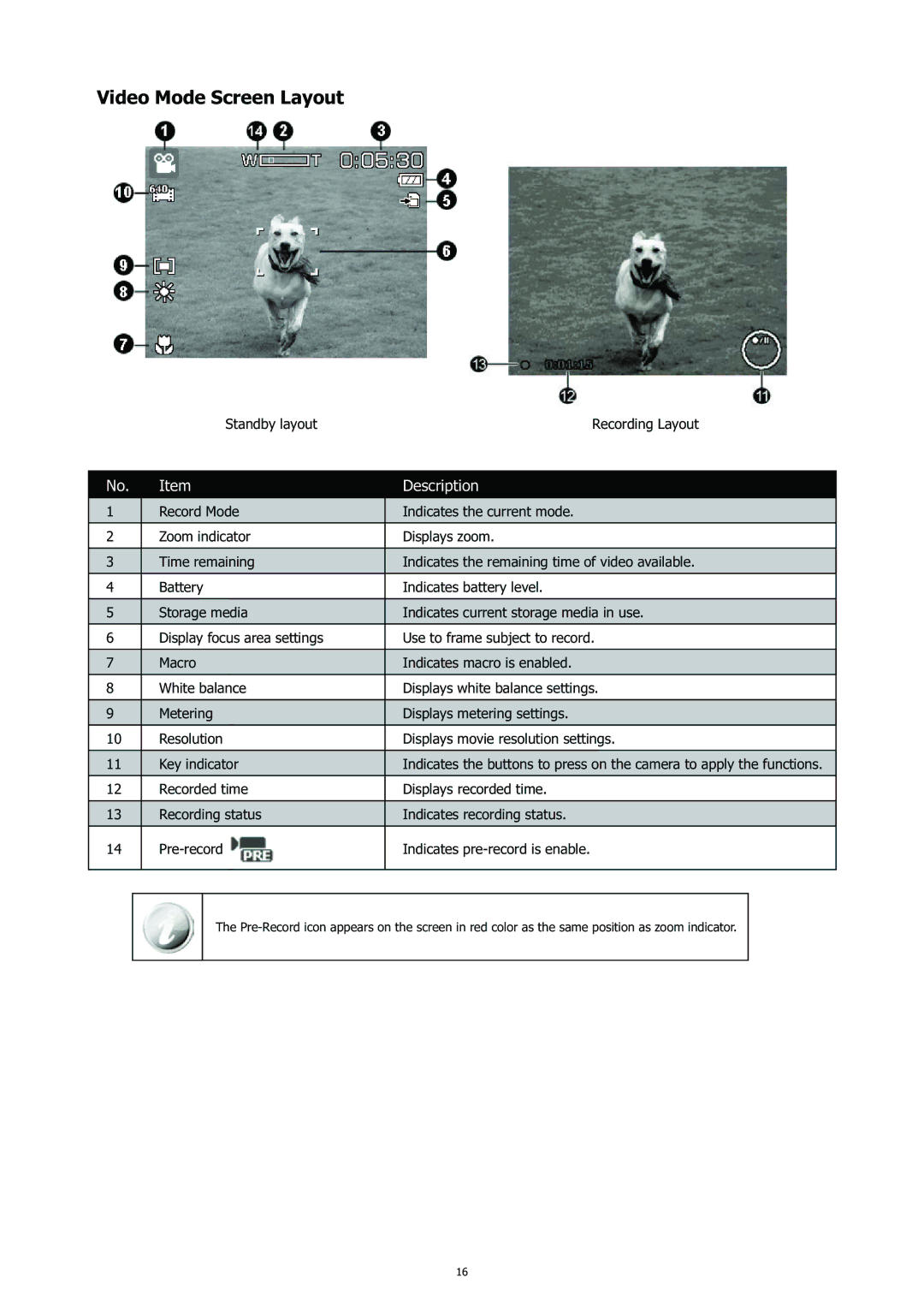 HP CC-450 manual Video Mode Screen Layout 