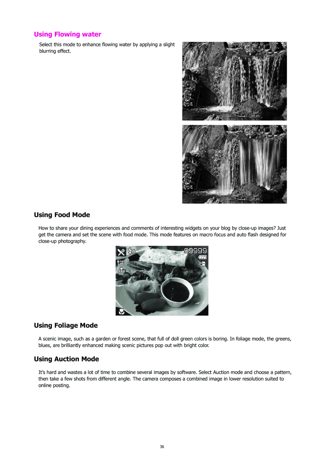 HP CC-450 manual Using Food Mode, Using Foliage Mode, Using Auction Mode 