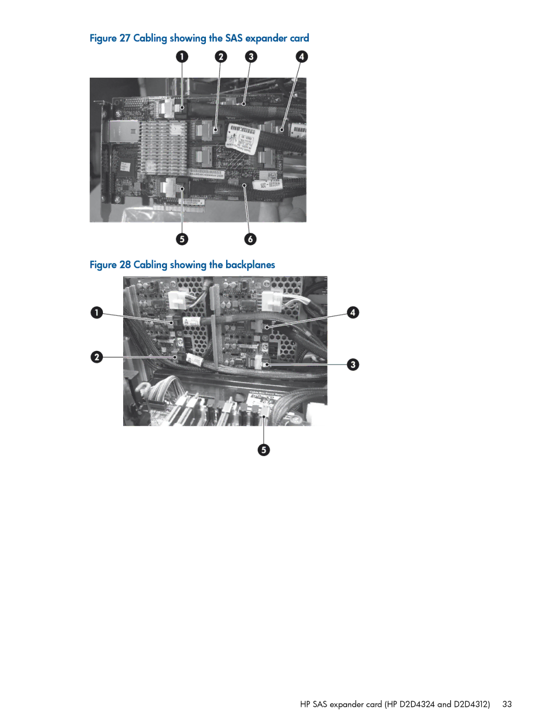 HP D2D2504 G1, D2D4106 G2, D2D4312 G2, D2D4112 G2, D2D4009 G1, D2D4004 G1, D2D2504 G2 Cabling showing the SAS expander card 