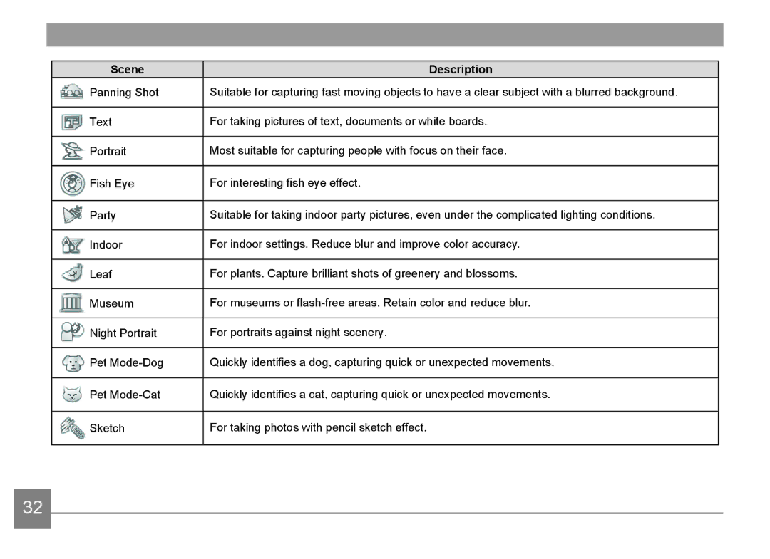 HP d3500 manual Scene Description 