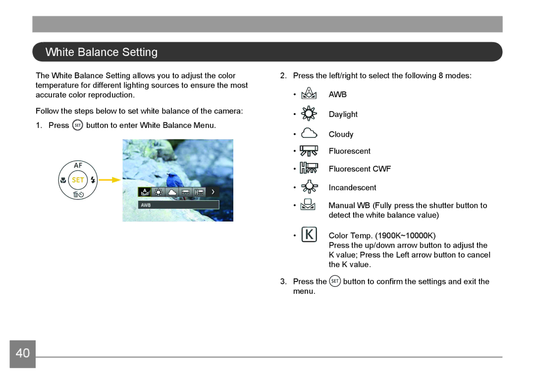 HP d3500 manual White Balance Setting 