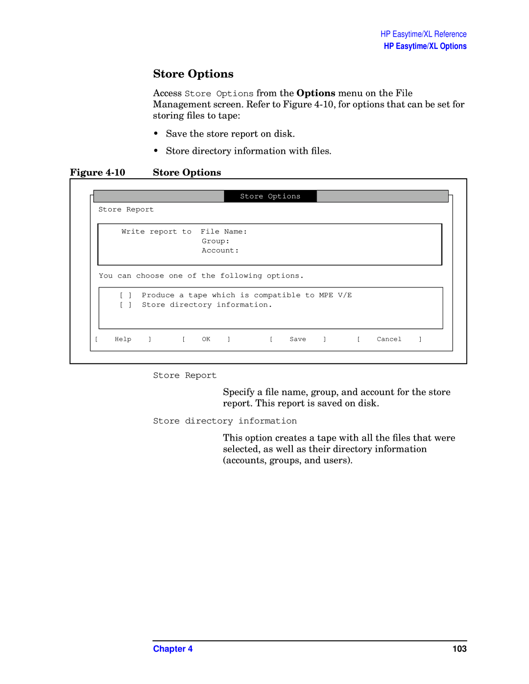 HP e3000 MPE/iX Systems B1940-90005 manual Store Options 