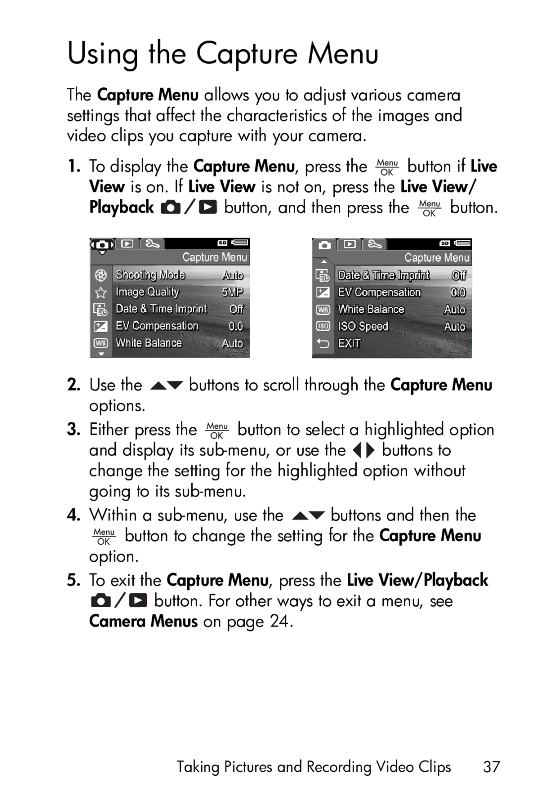 HP E317 manual Using the Capture Menu 