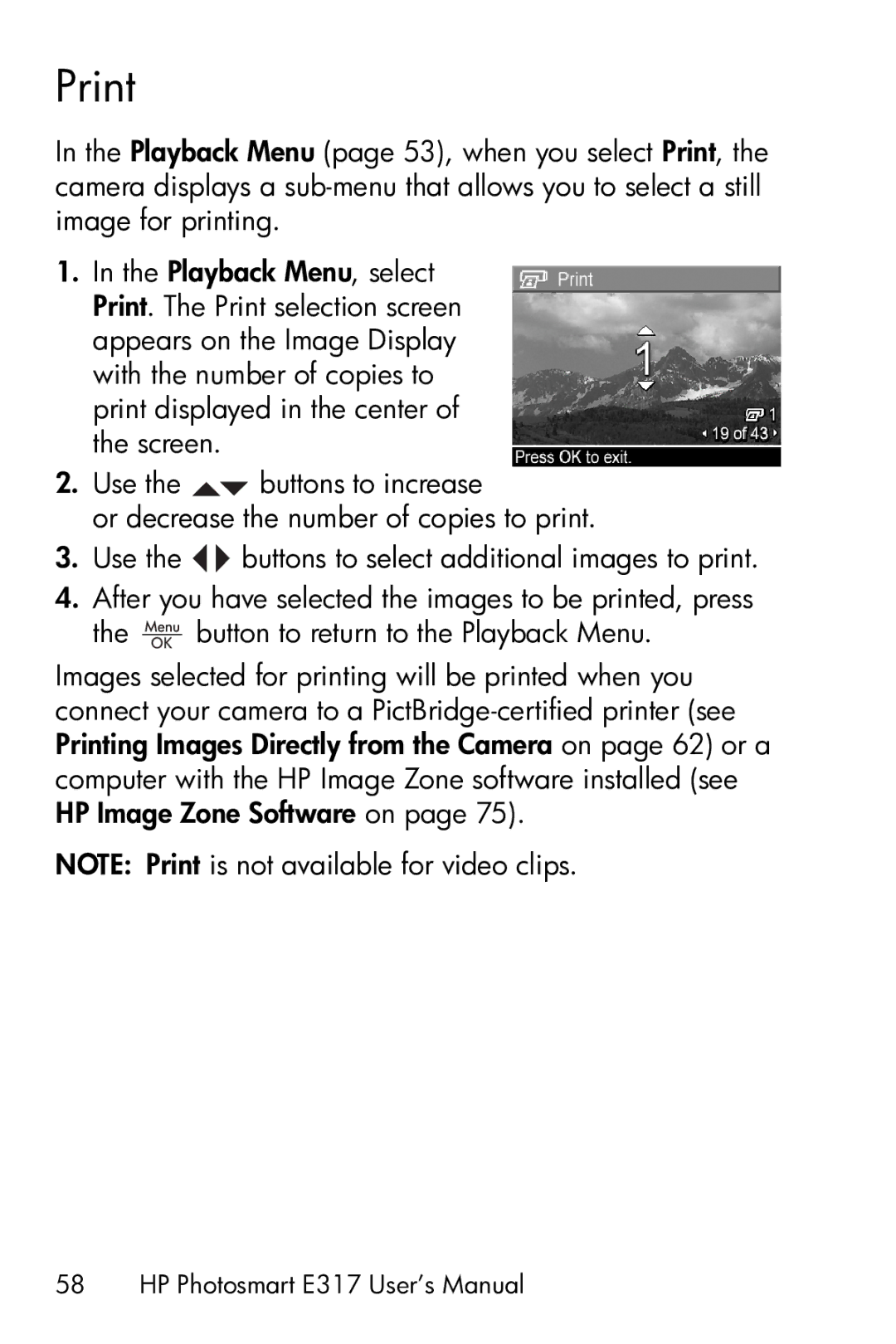 HP E317 manual Print 