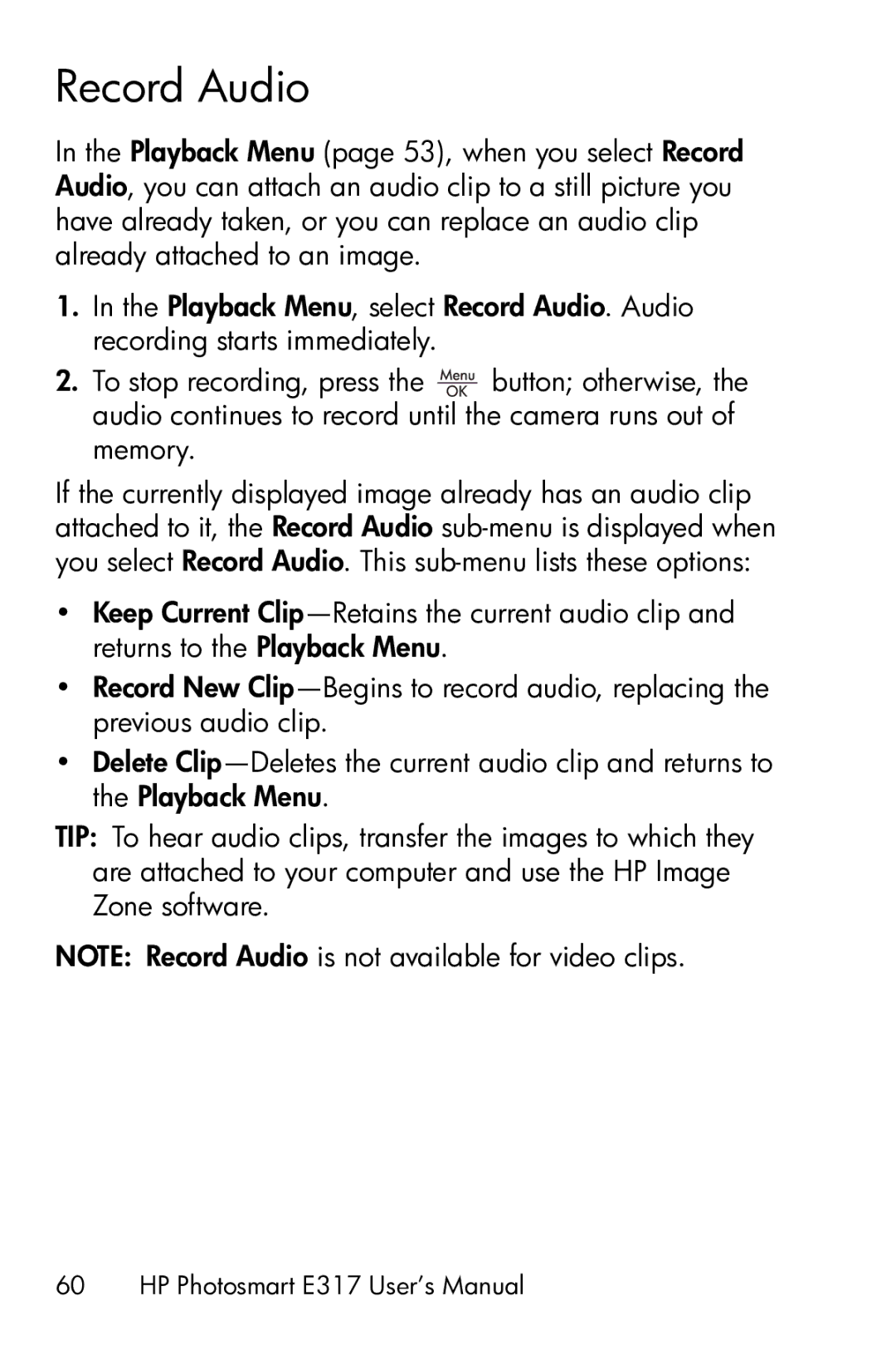 HP E317 manual Record Audio 