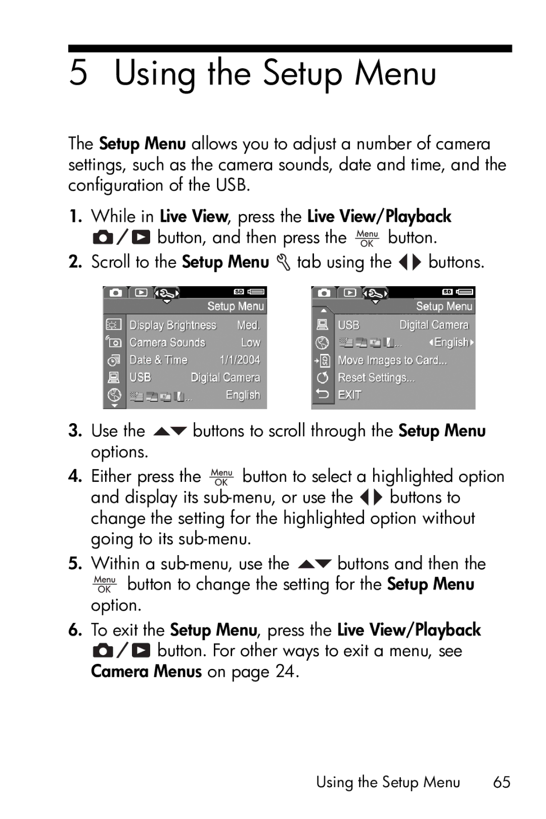 HP E317 manual Using the Setup Menu 