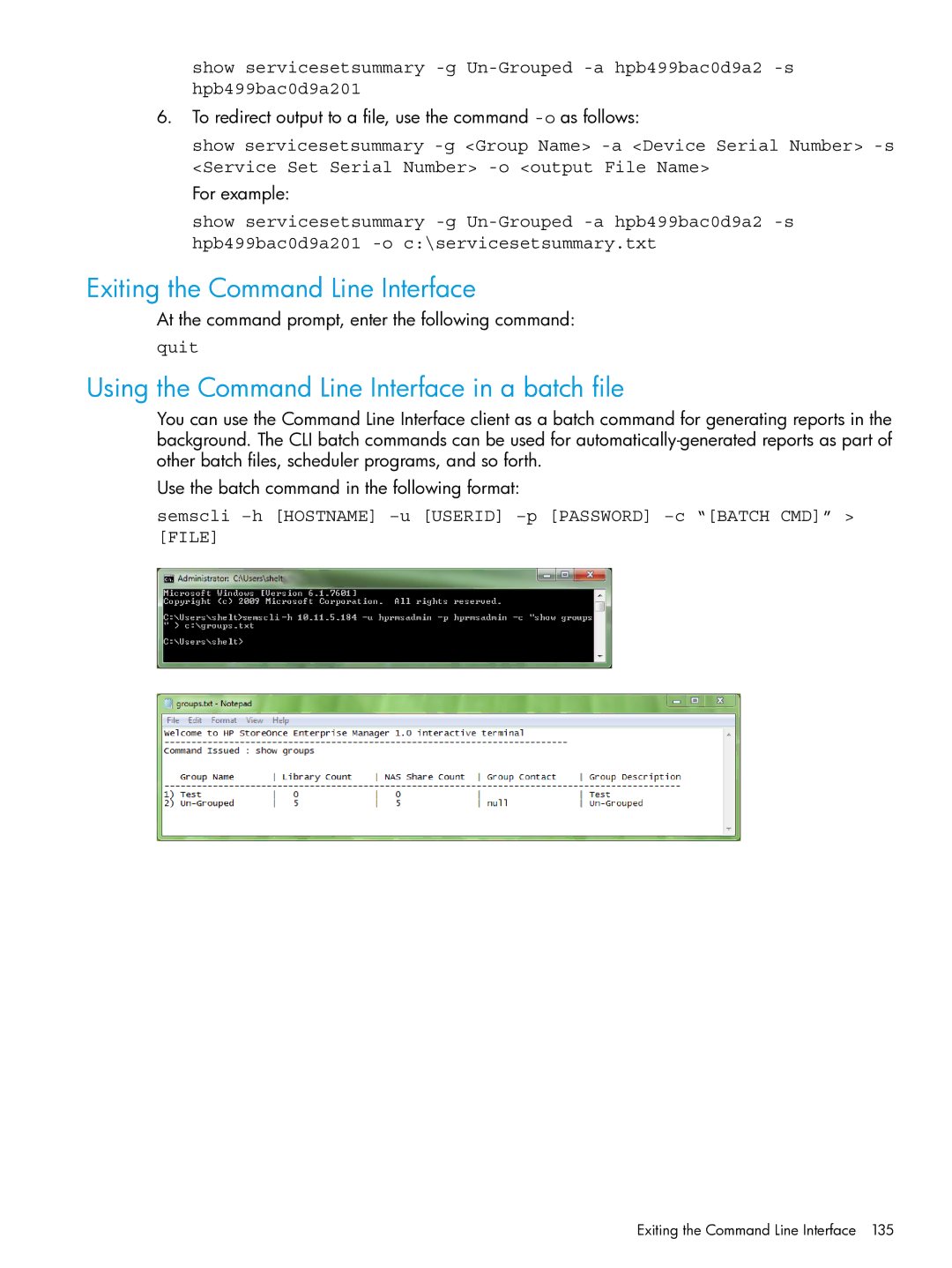 HP EMA/ESA/MA Replication Software Exiting the Command Line Interface, Using the Command Line Interface in a batch file 