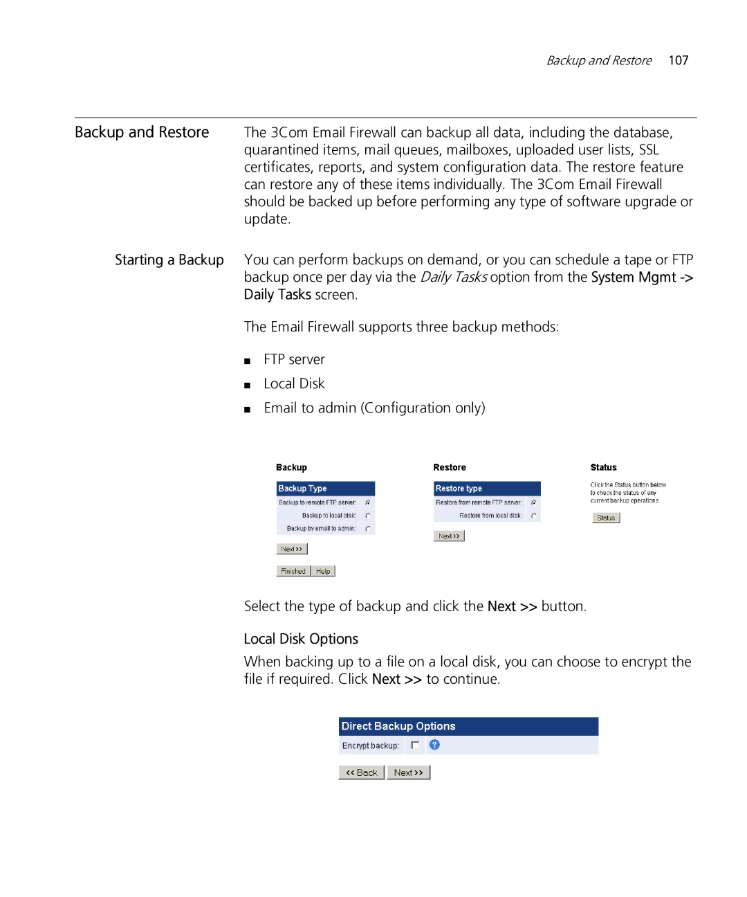 HP Email Firewall Appliance manual Local Disk Options 