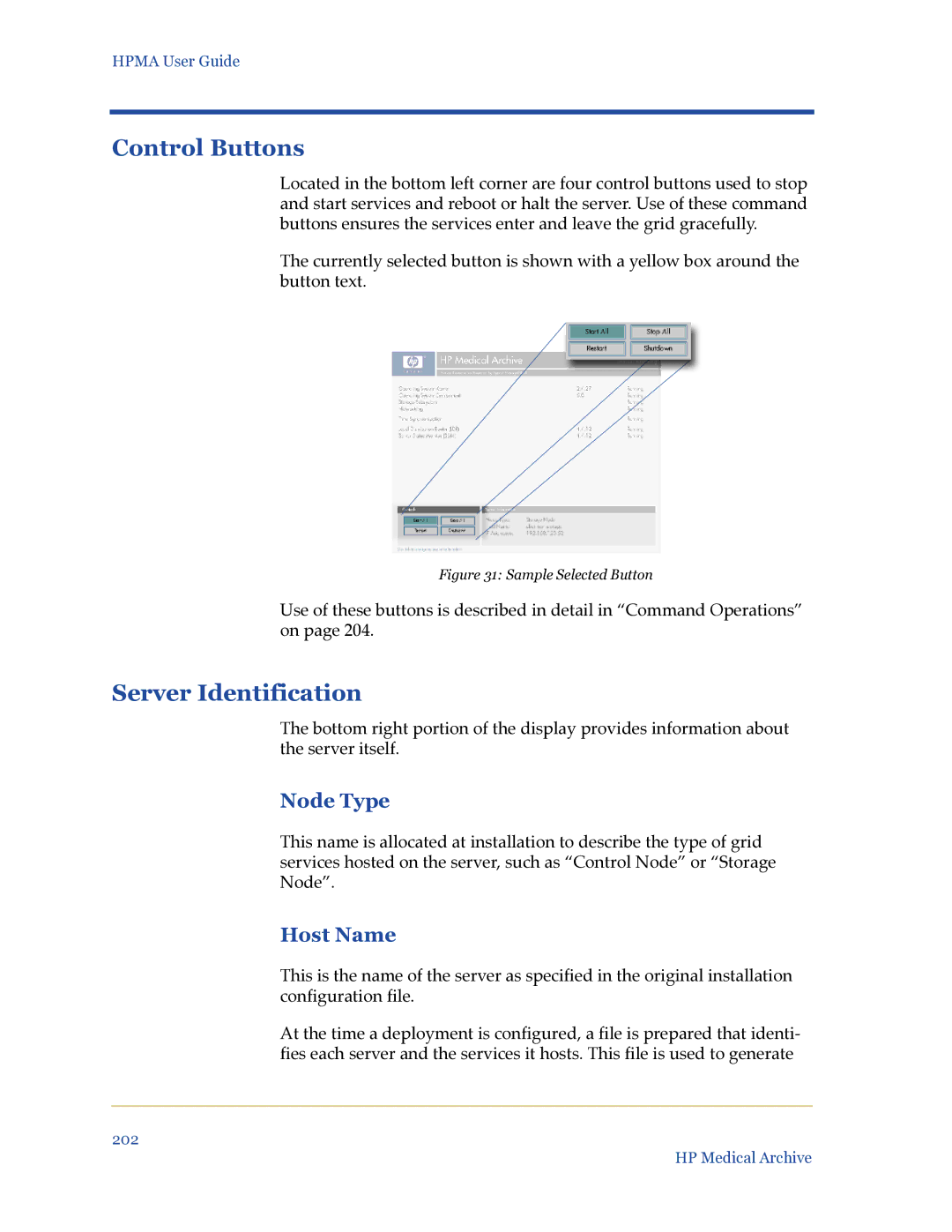 HP Medical Archive Solution manual Control Buttons, Server Identification, Node Type, Host Name 