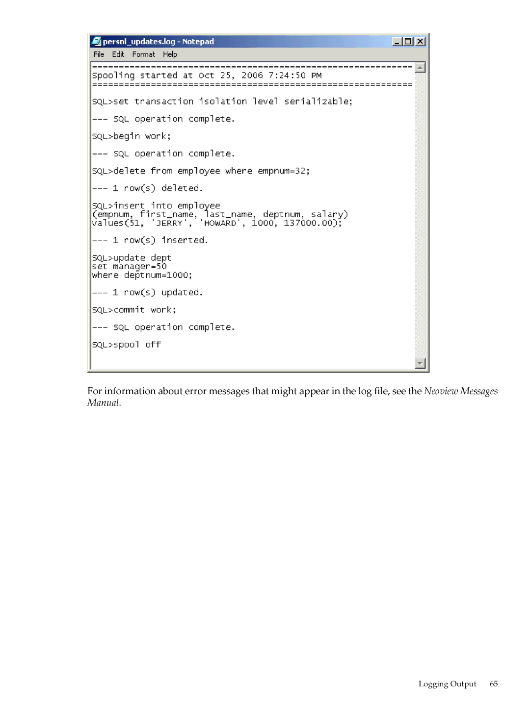 HP NEOVIEW 544530-001 manual Logging Output 