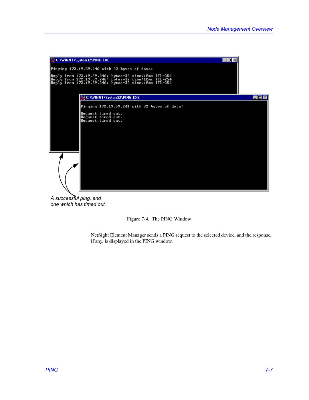 HP Netsight manual Successful ping, and one which has timed out 