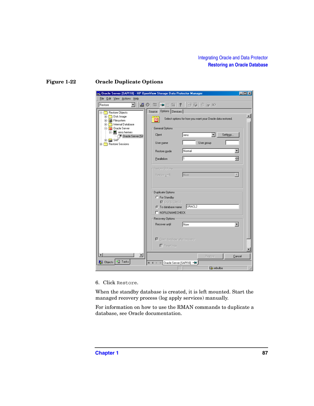 HP OpenView Storage B6960-96008 manual 22Oracle Duplicate Options 