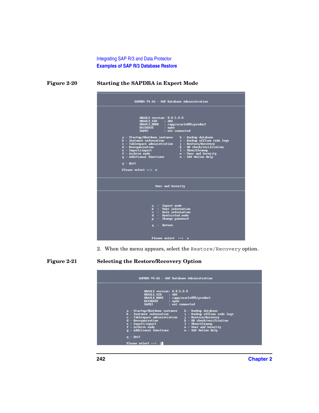 HP OpenView Storage B6960-96008 manual When the menu appears, select the Restore/Recovery option, 242 