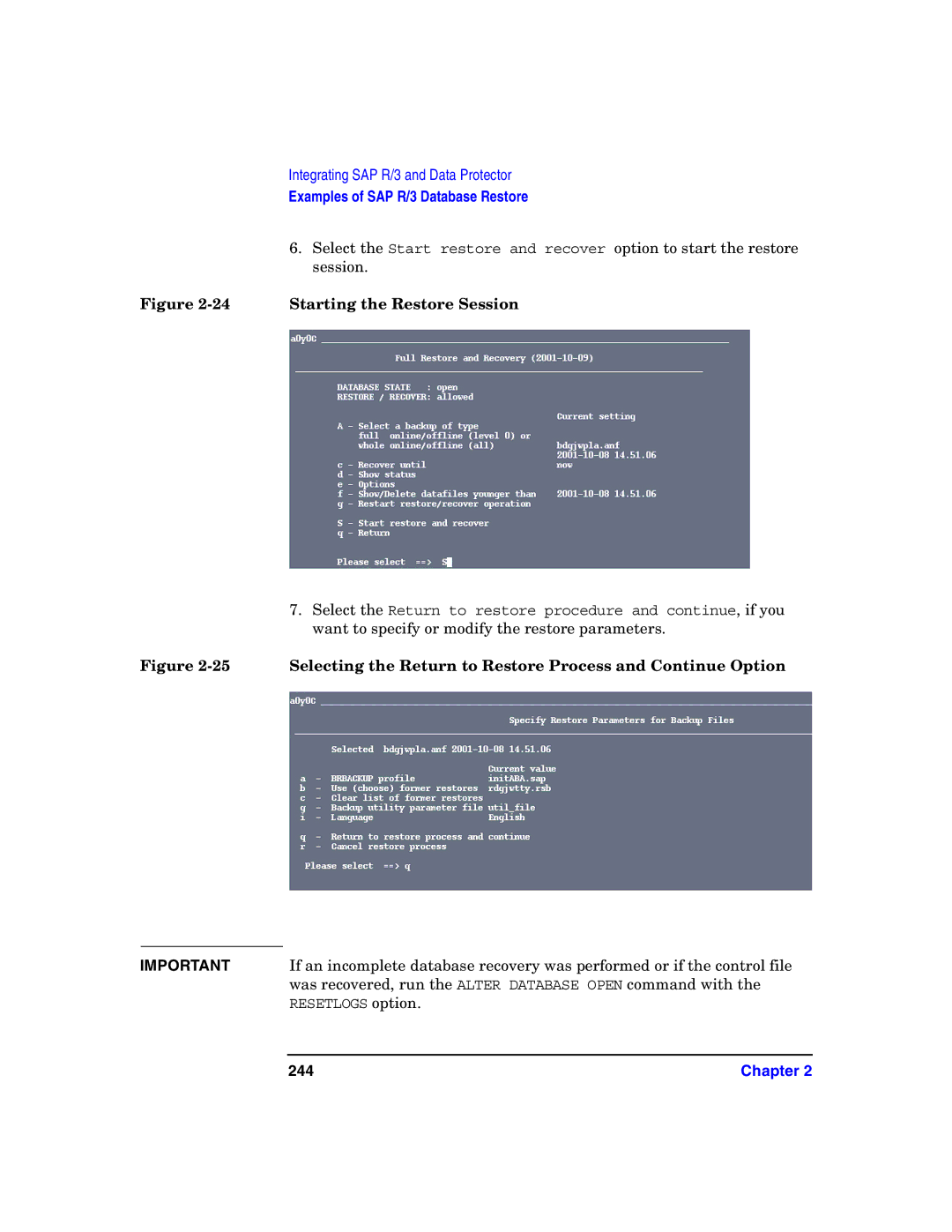 HP OpenView Storage B6960-96008 manual Was recovered, run the Alter Database Open command with, 244 