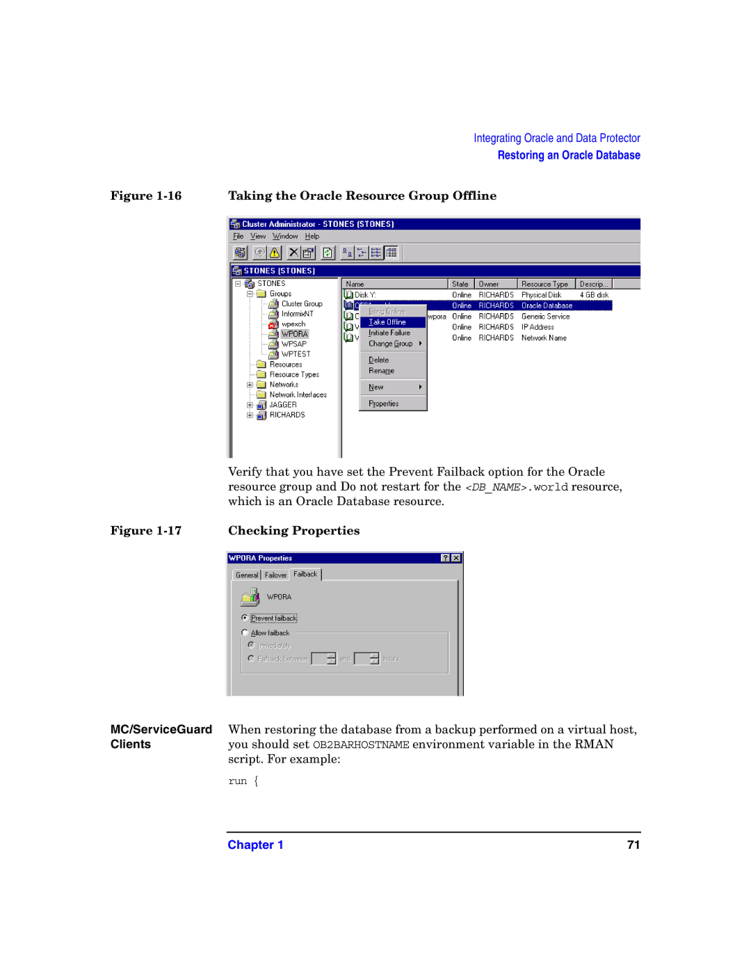 HP OpenView Storage B6960-96008 manual 16Taking the Oracle Resource Group Offline 