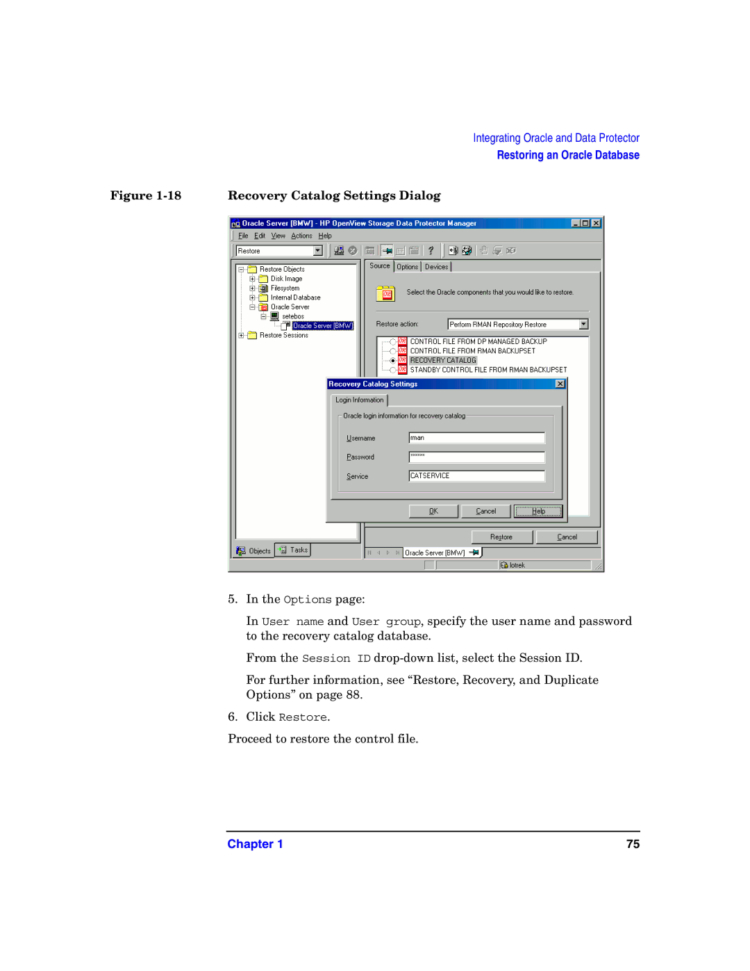 HP OpenView Storage B6960-96008 manual 18Recovery Catalog Settings Dialog 