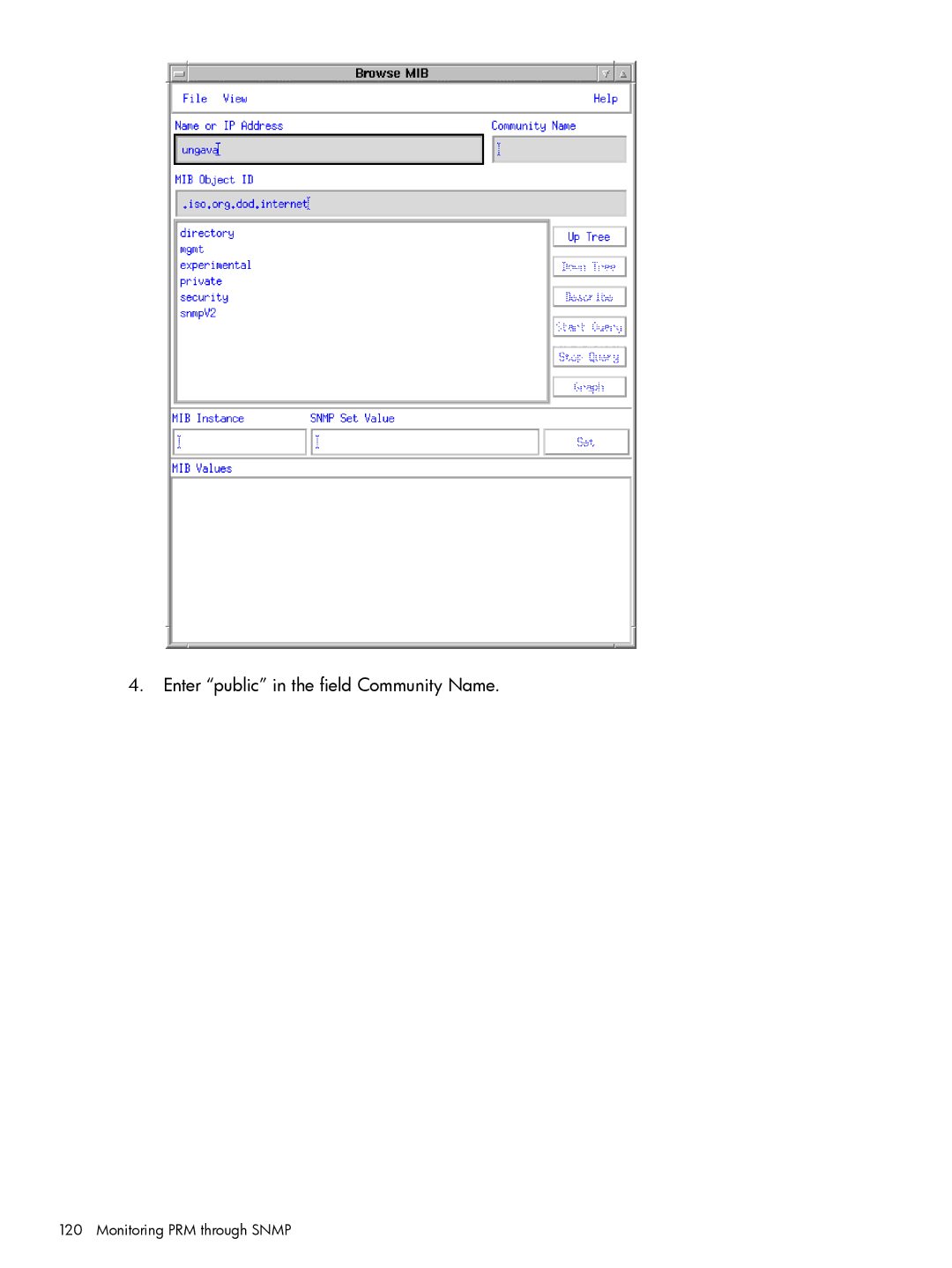 HP Process Resource Manager (PRM) manual Enter public in the field Community Name 