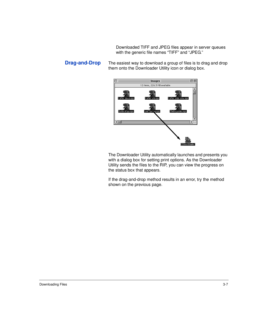 HP Rip Software manual Downloading Files 