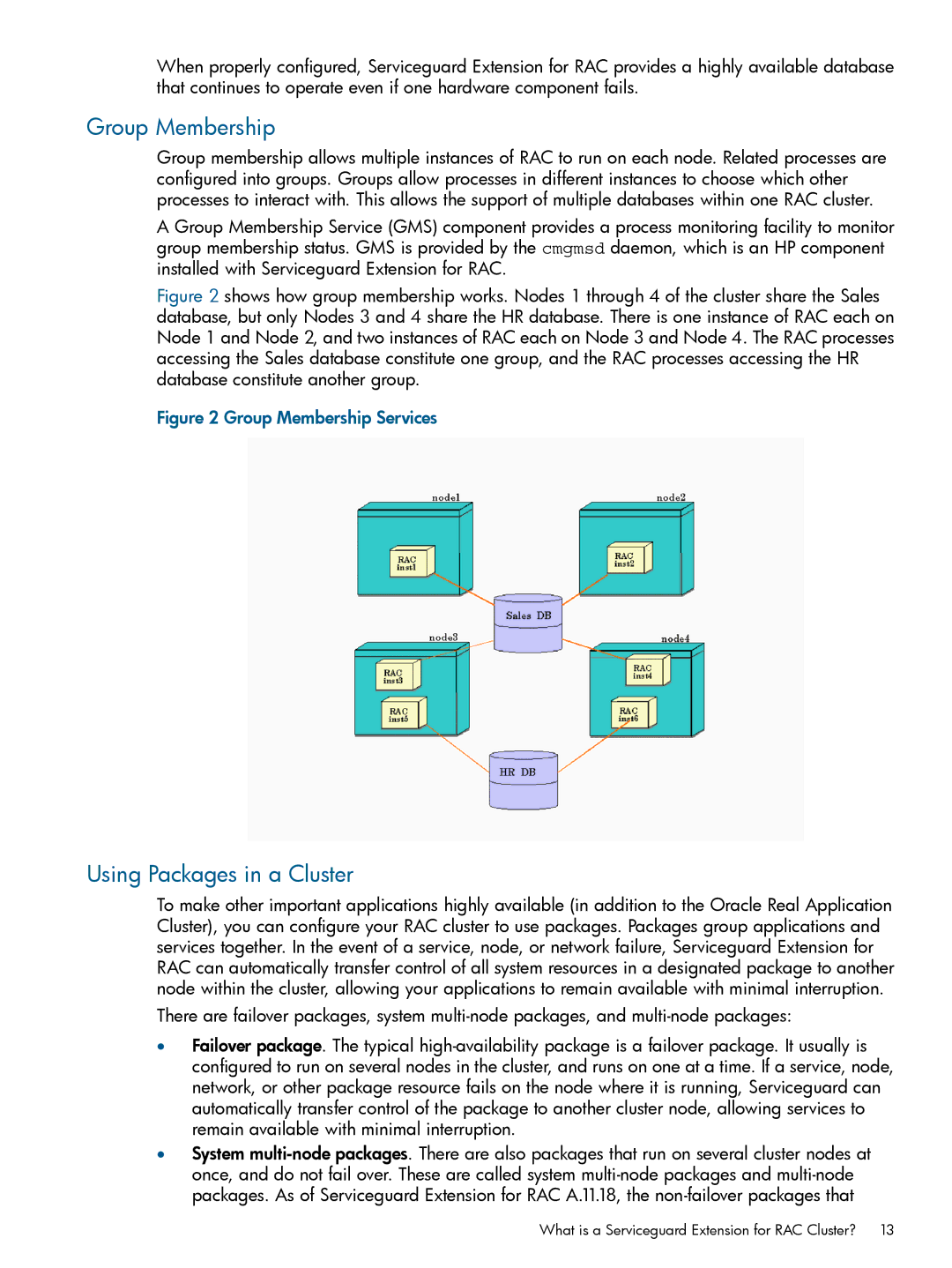 HP Serviceguard Extension for RAC (SGeRAC) manual Group Membership, Using Packages in a Cluster 