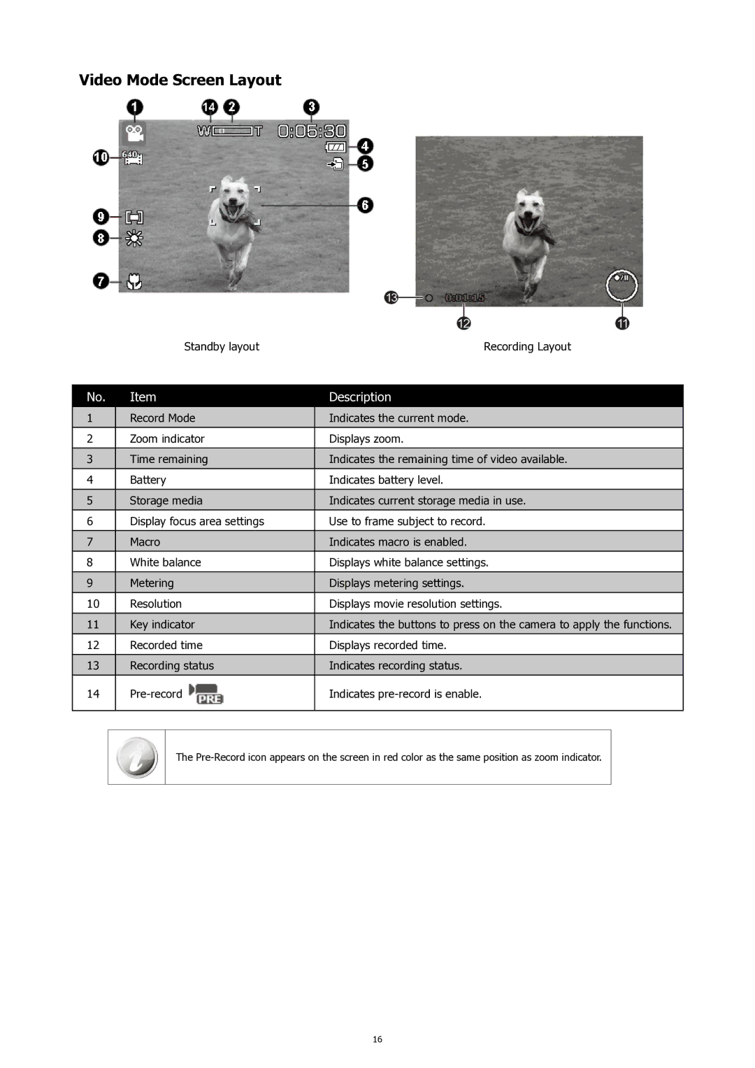 HP SW450 manual Video Mode Screen Layout 