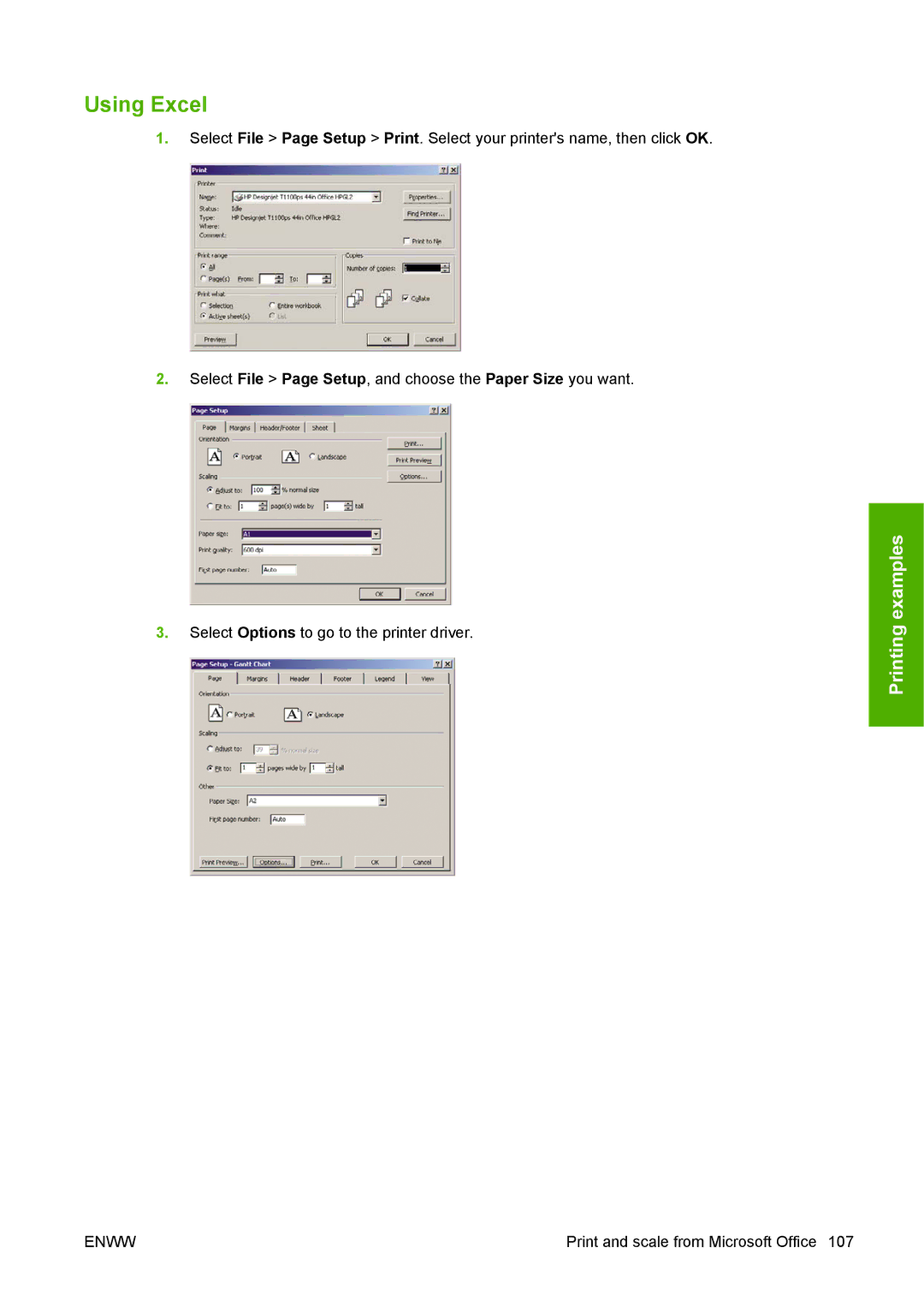 HP T1100 manual Using Excel 