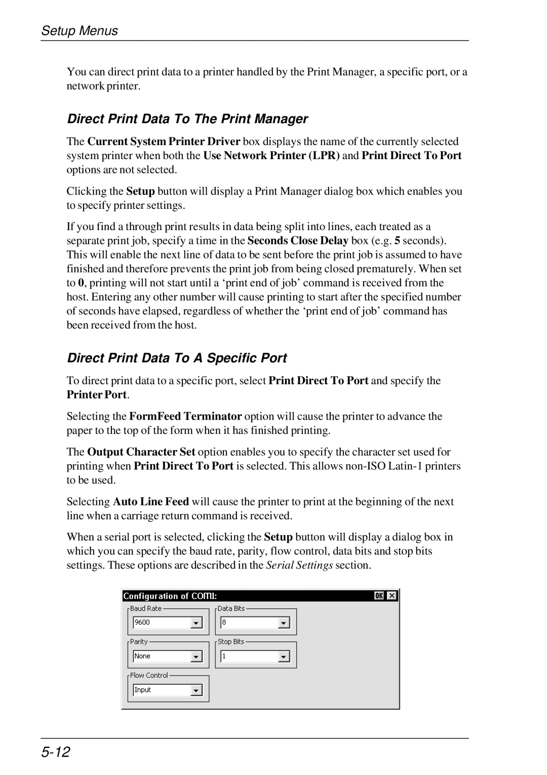 HP t5510 manual Direct Print Data To The Print Manager 