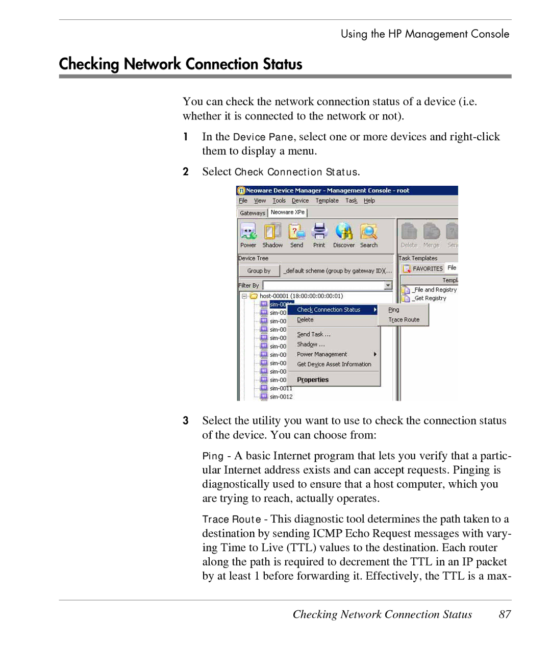 HP TeemTalk Terminal Emulator 7 E-License manual Checking Network Connection Status 