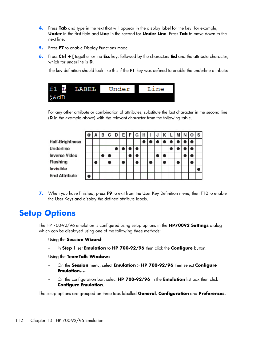 HP TeemTalk Terminal Emulator 8 E-License manual Setup Options 