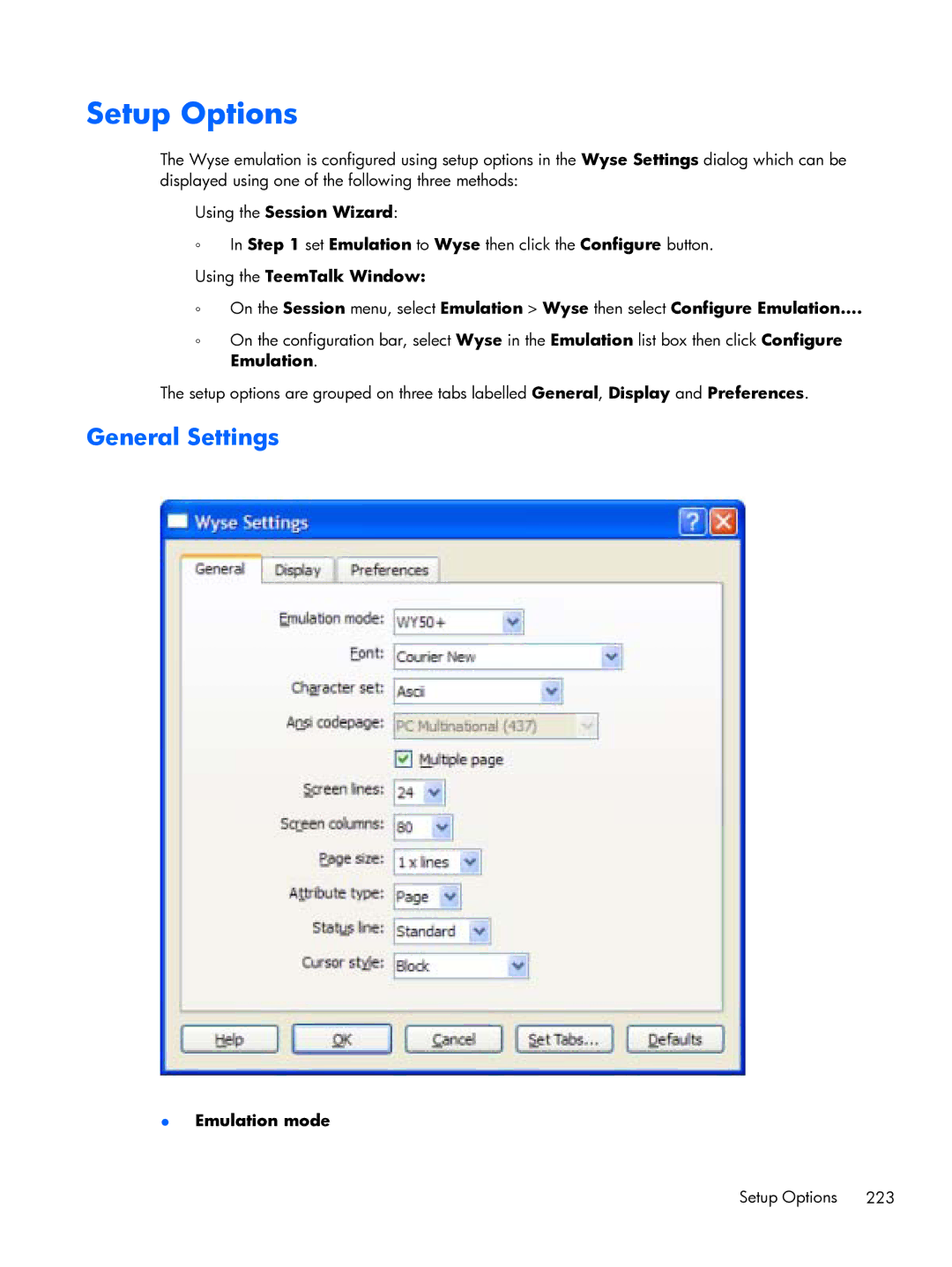 HP TeemTalk Terminal Emulator 8 E-License manual Setup Options 