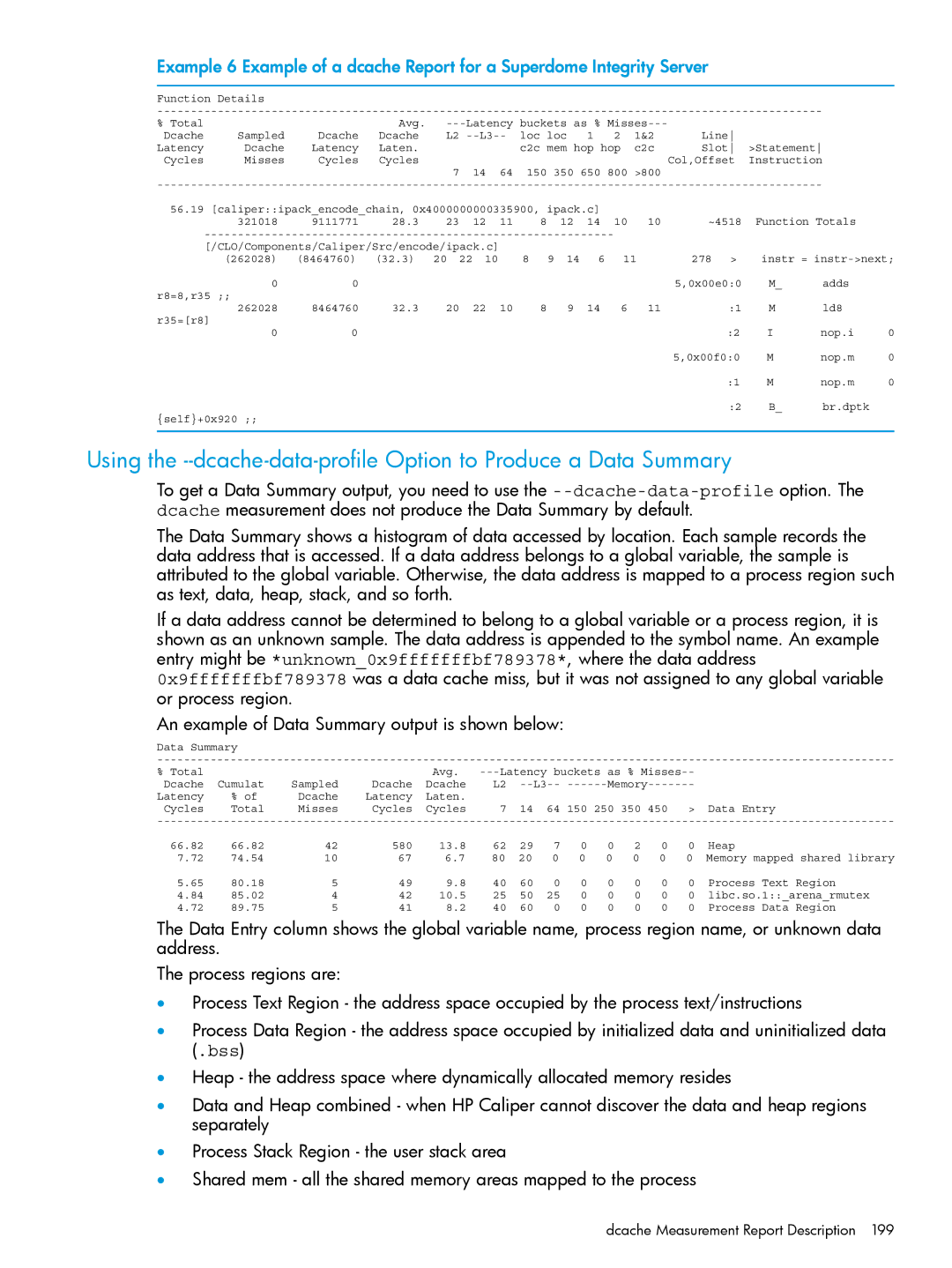 HP UX IPFilter Software manual Dcache Measurement Report Description 