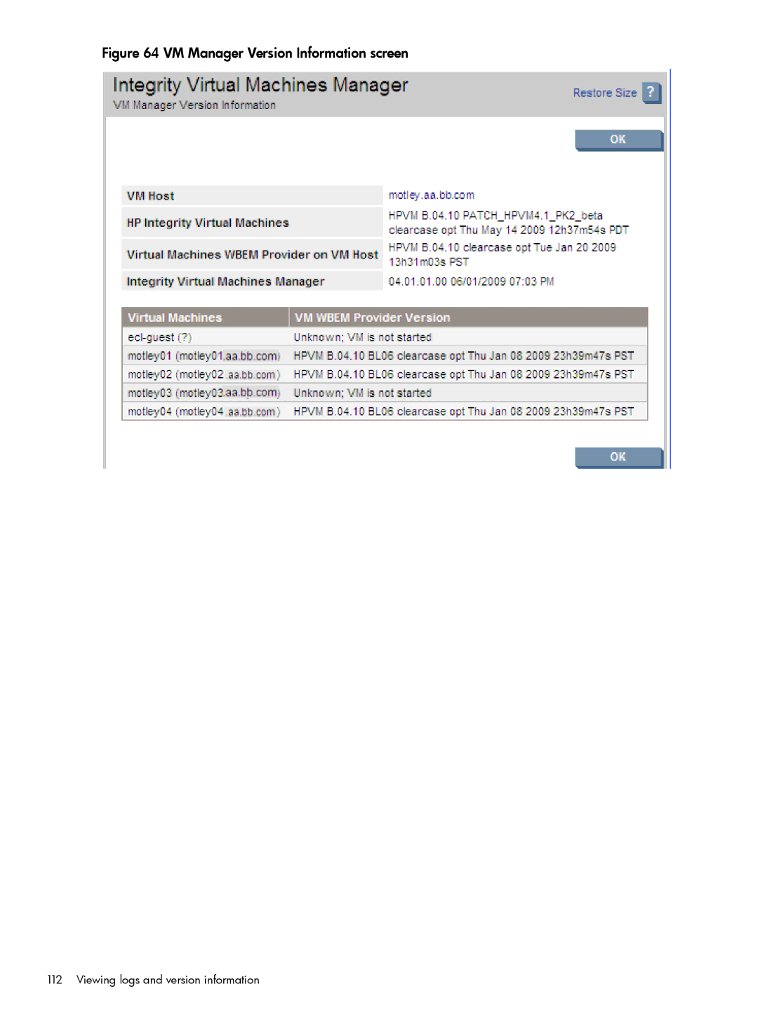 HP UX vPars and Integrity VM v6 manual VM Manager Version Information screen 