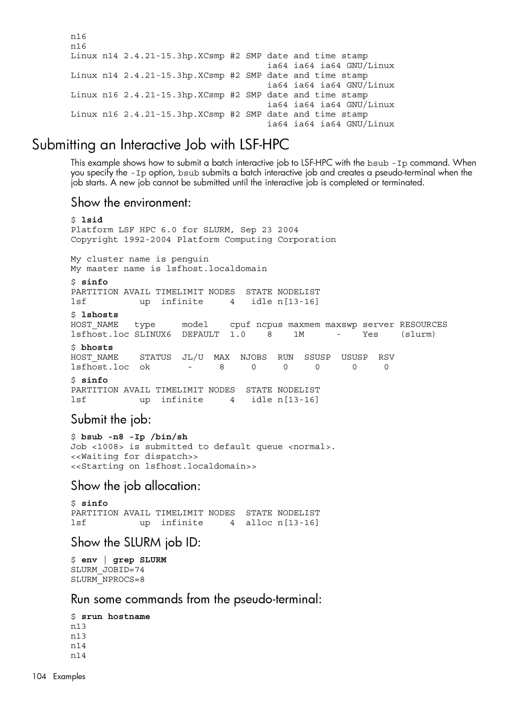 HP XC System 3.x Software manual Submitting an Interactive Job with LSF-HPC, Submit the job, Show the job allocation 