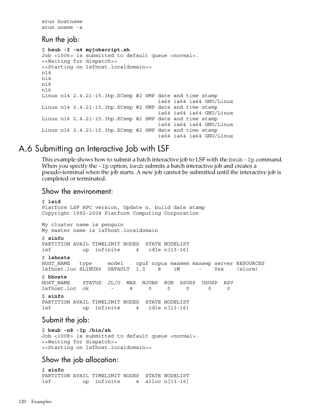 HP XC System 4.x Software Submitting an Interactive Job with LSF, Run the job, Submit the job, Show the job allocation 