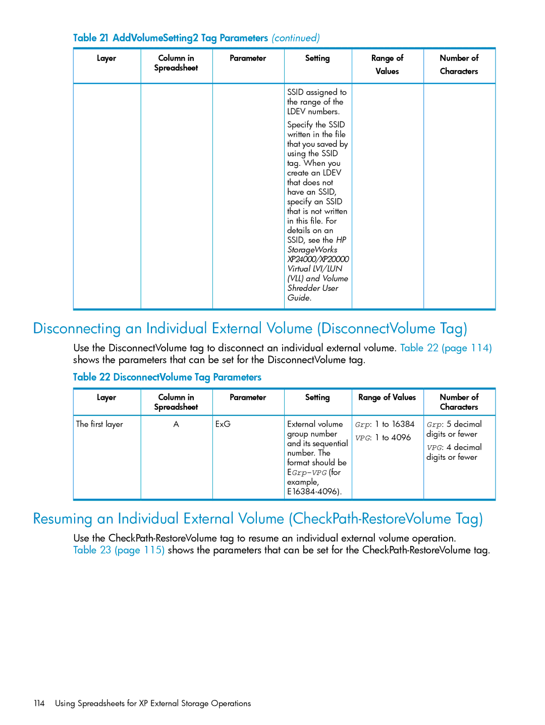 HP XP20000, XP24000 manual DisconnectVolume Tag Parameters 