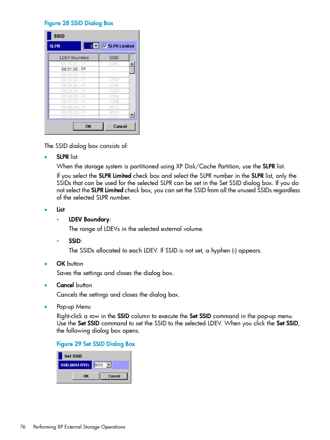 HP XP20000, XP24000 manual Ssid 