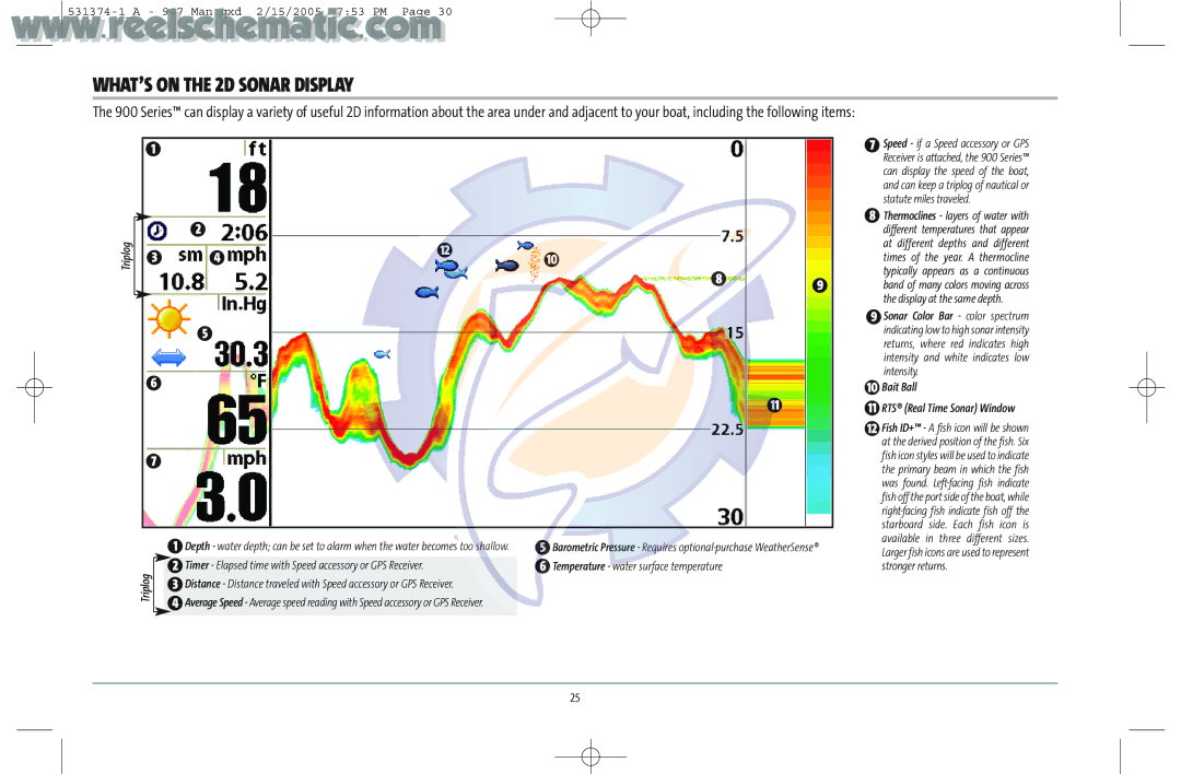 Humminbird 531374-1_A manual WHAT’S on the 2D Sonar Display, Bait Ball RTS Real Time Sonar Window 