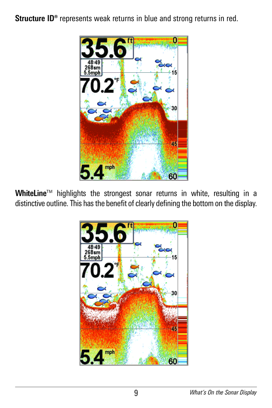 Humminbird 596c, 586c manual What’s On the Sonar Display 