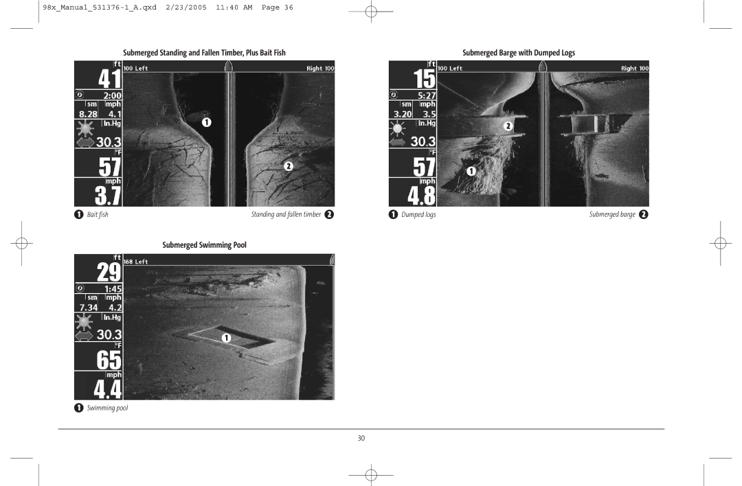 Humminbird 981 manual Submerged Standing and Fallen Timber, Plus Bait Fish, Submerged Swimming Pool 