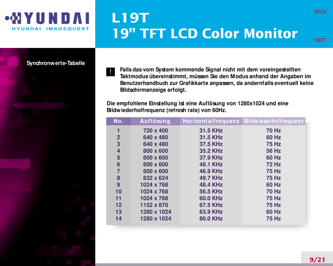 Hyundai L19T manual Auflösung Horizontalfrequenz 