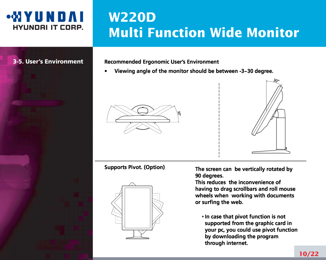 Hyundai manual W220D Multi Function Wide Monitor, User’s Environment, 10/22 