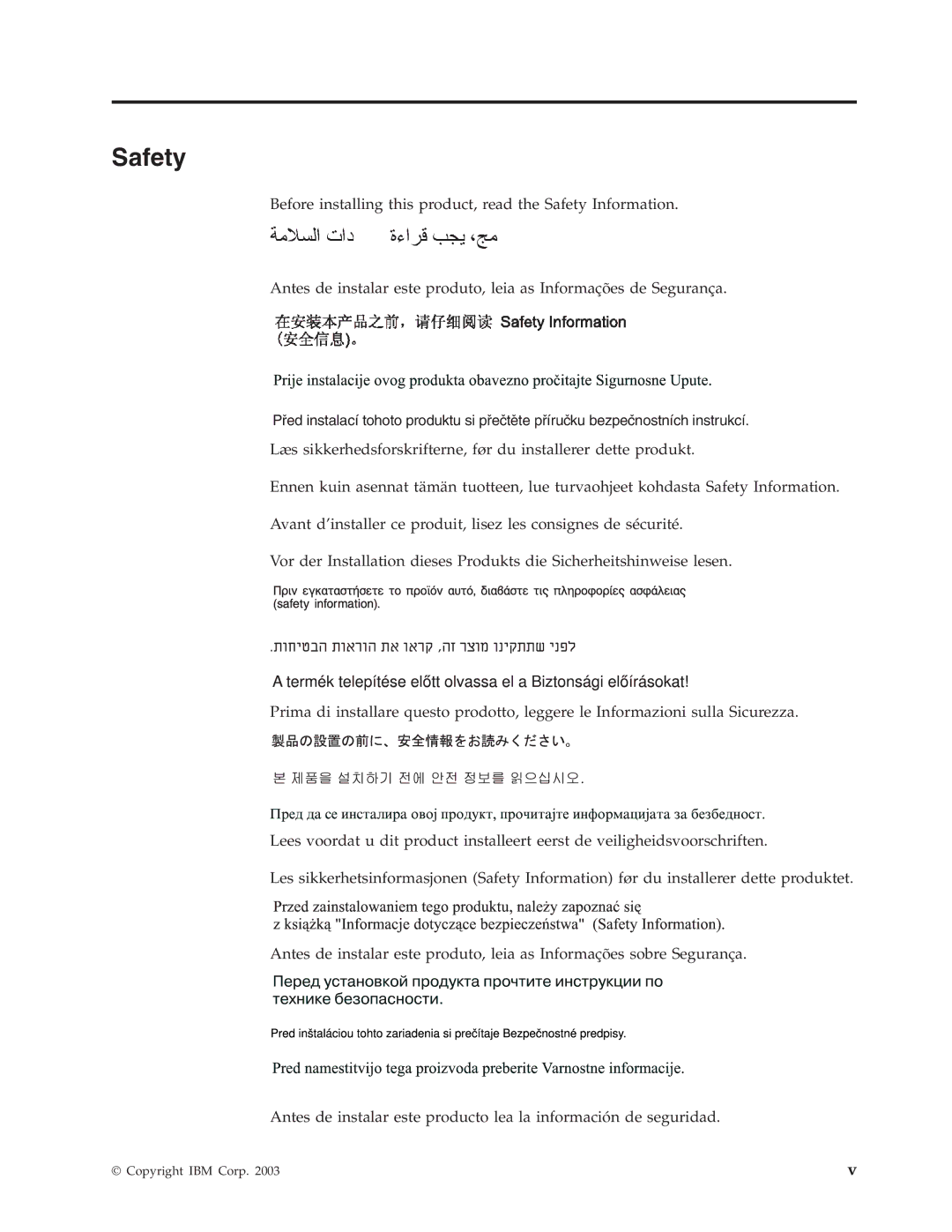 IBM 22P9176 manual Safety 