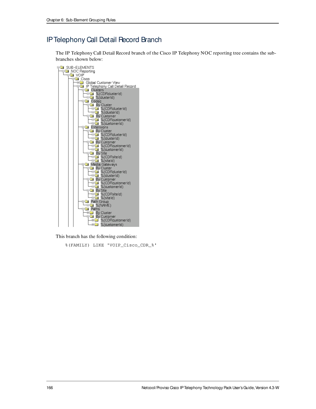 IBM 4.3-W manual IP Telephony Call Detail Record Branch 